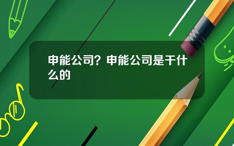 申能公司？申能公司是干什么的
