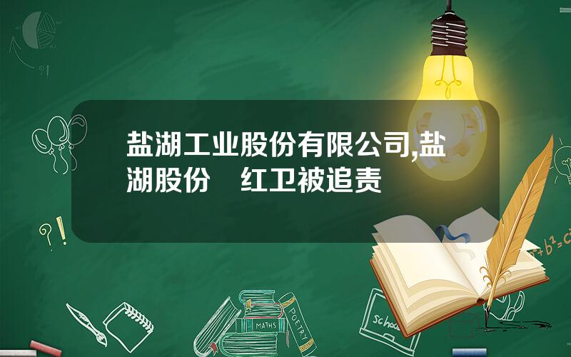 盐湖工业股份有限公司,盐湖股份贠红卫被追责