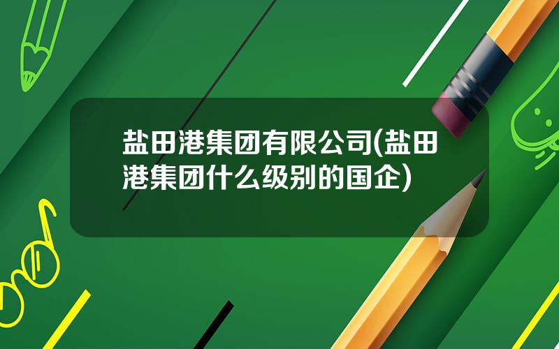盐田港集团有限公司(盐田港集团什么级别的国企)