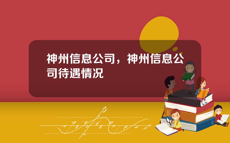 神州信息公司，神州信息公司待遇情况
