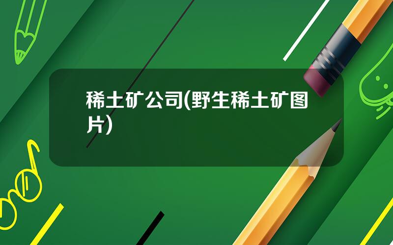 稀土矿公司(野生稀土矿图片)