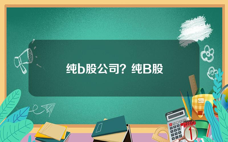 纯b股公司？纯B股