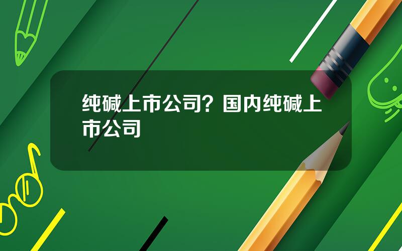 纯碱上市公司？国内纯碱上市公司