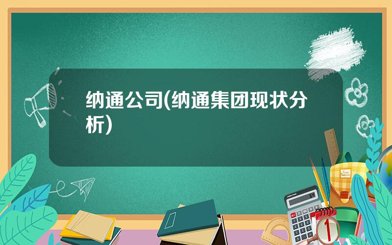 纳通公司(纳通集团现状分析)