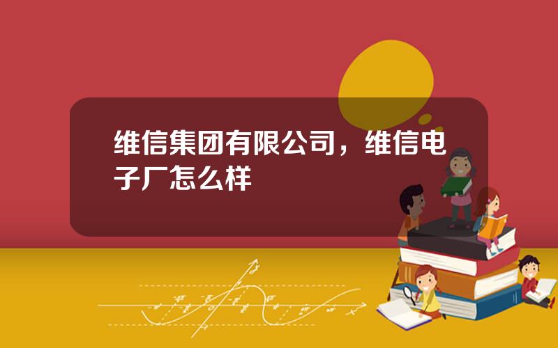 维信集团有限公司，维信电子厂怎么样
