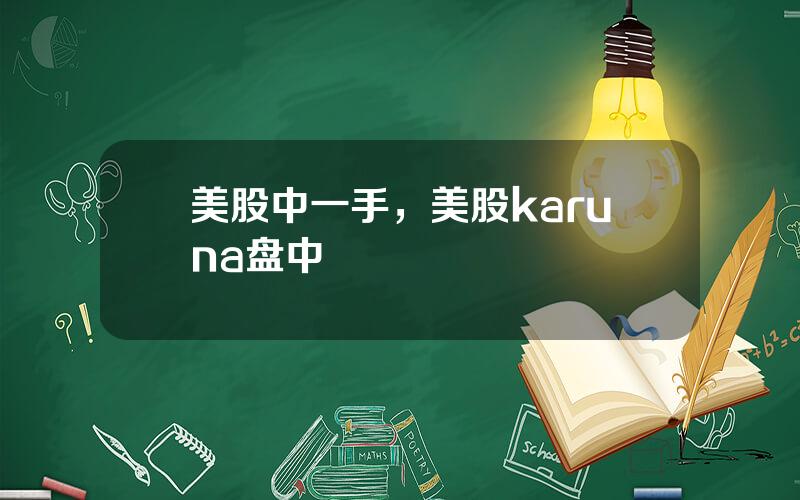 美股中一手，美股karuna盘中