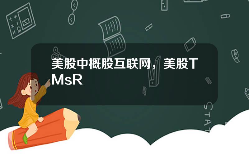 美股中概股互联网，美股TMsR