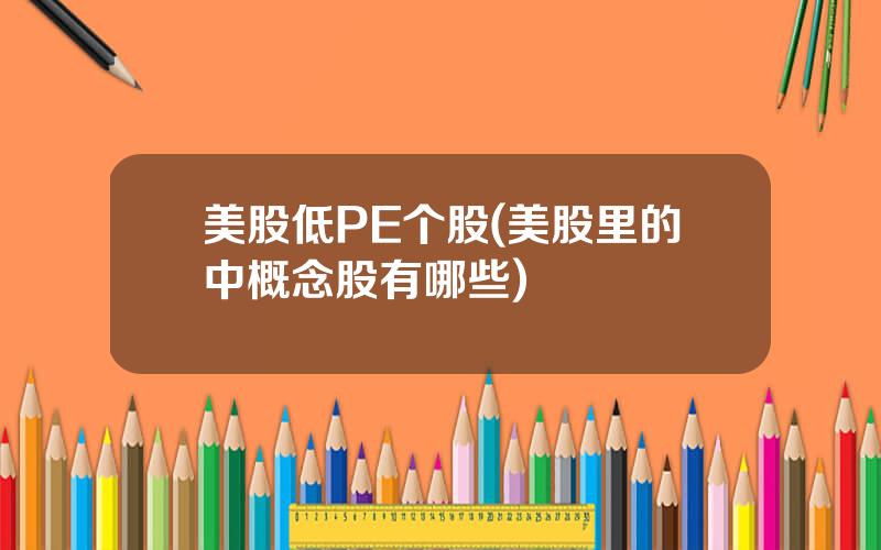 美股低PE个股(美股里的中概念股有哪些)