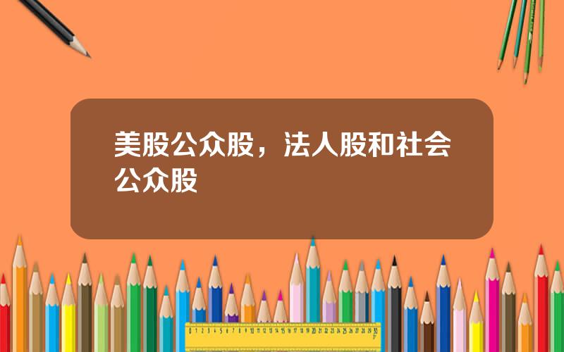 美股公众股，法人股和社会公众股