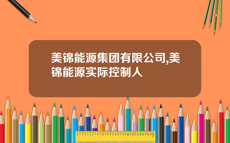 美锦能源集团有限公司,美锦能源实际控制人