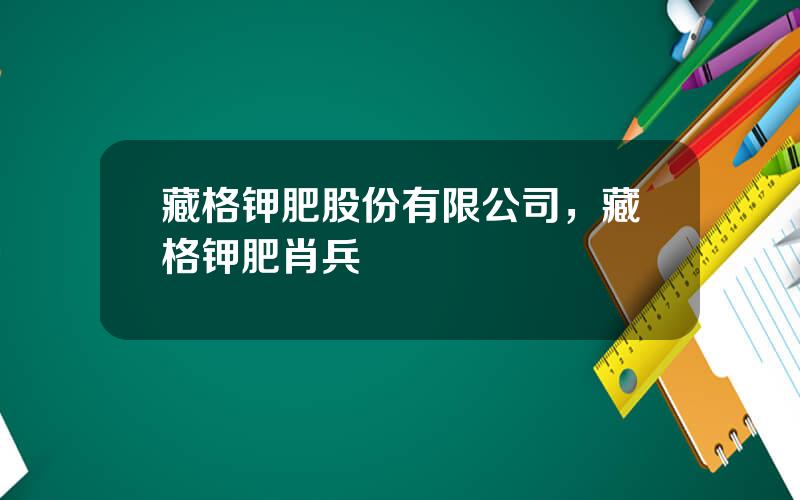 藏格钾肥股份有限公司，藏格钾肥肖兵