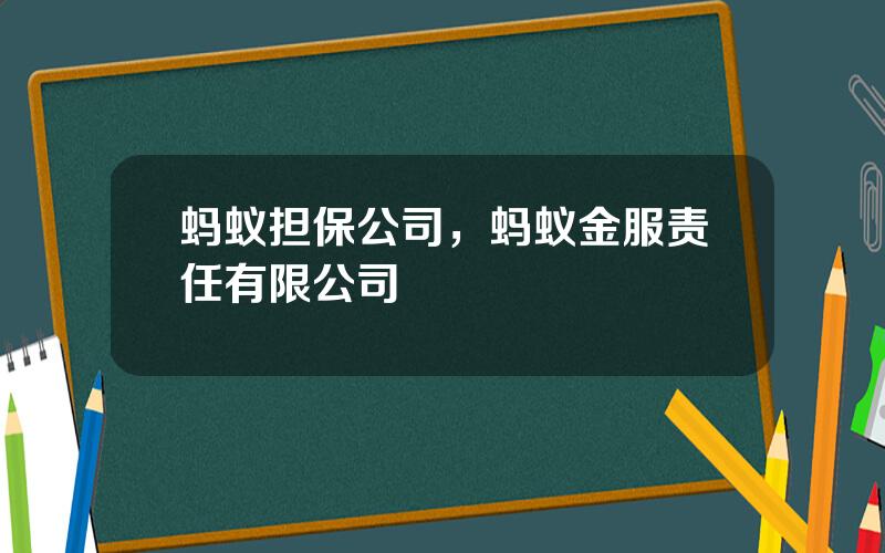 蚂蚁担保公司，蚂蚁金服责任有限公司