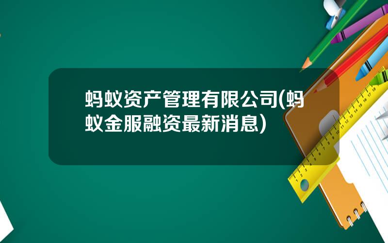 蚂蚁资产管理有限公司(蚂蚁金服融资最新消息)