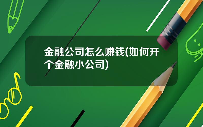 金融公司怎么赚钱(如何开个金融小公司)