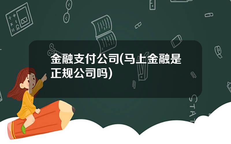 金融支付公司(马上金融是正规公司吗)