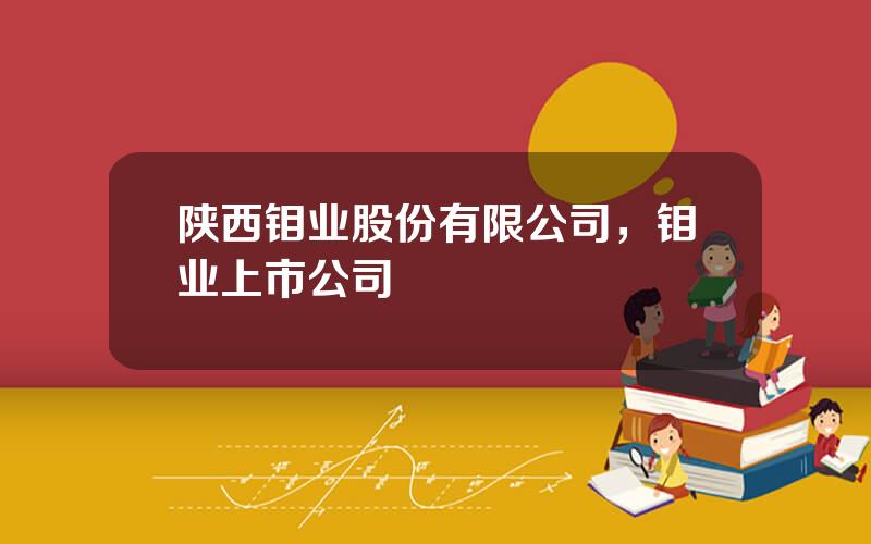 陕西钼业股份有限公司，钼业上市公司